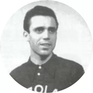 Nedo Logli