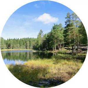 Nedre Blanksjø - Lake in Norway