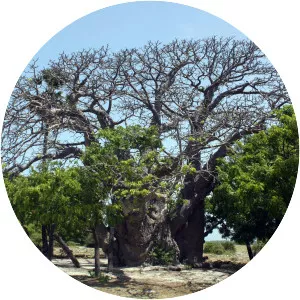Neduntheevu - Island in Sri Lanka