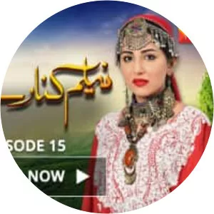 Neelam Kinaray - Romance ‧ 1 season