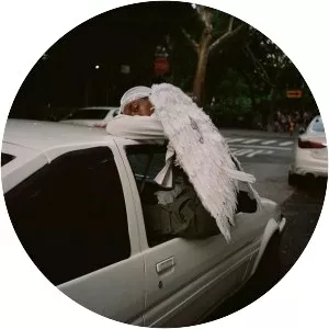 Negro Swan - Studio album by Dev Hynes