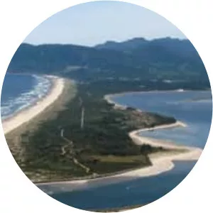 Nehalem Bay photograph