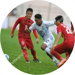 Nelson Sarmento Viegas