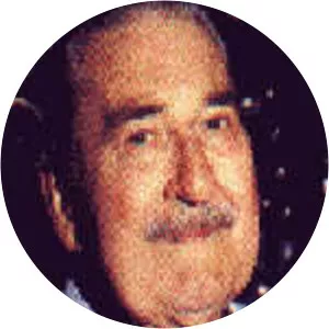 Nelson Zanirato - Musician