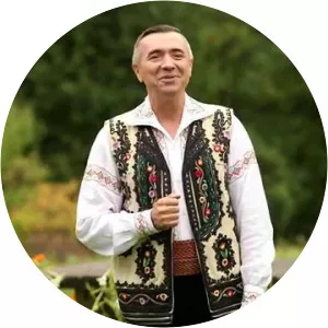 Nelu Bițină - Musical artist