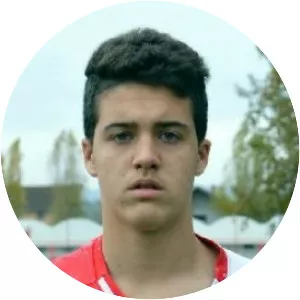 Nemanja Mirosavljević