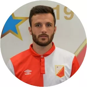 Nemanja Subotić