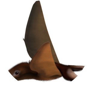 Nemicolopterus - Animal