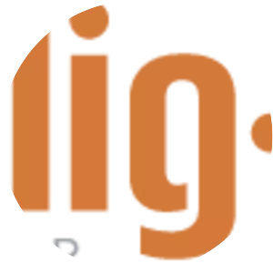 nemlig. com - Company