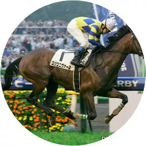 Neo Universe - Horse