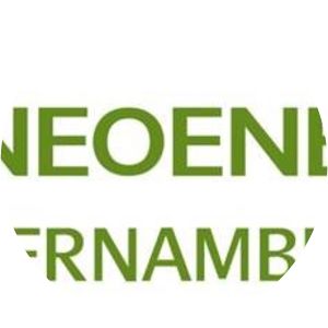 Neoenergia Pernambuco