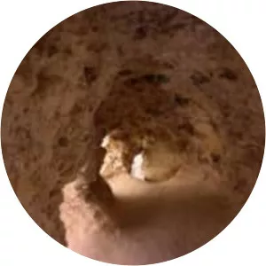 Neolithic flint mines of Spiennes - 