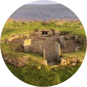 piotr wtulich neolithic