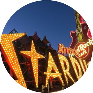Neon Museum