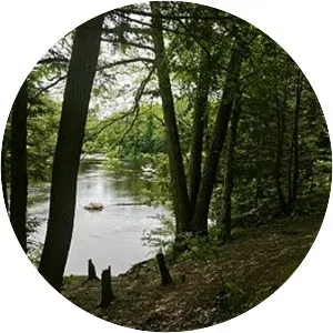 Nepaug State Forest - 