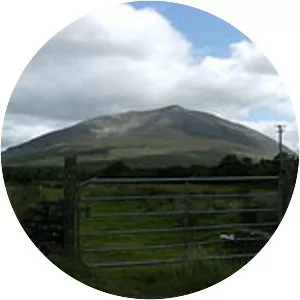Nephin - 