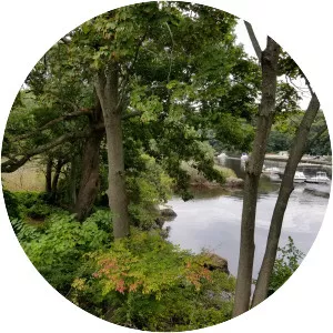 Neponset River Reservation - 