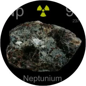 Neptunium