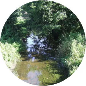 Ner - River in Poland