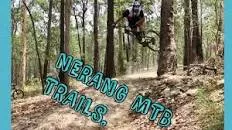 Nerang State Forest - 