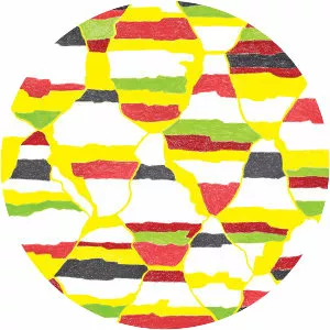 Nervous Cop - Album by Joanna Newsom and Zach Hill