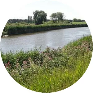 Nete - River in Belgium