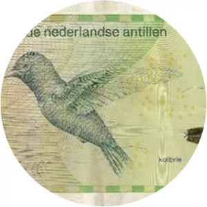 Netherlands Antillean guilder