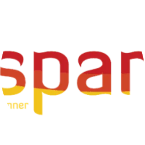 Netsparker - Company