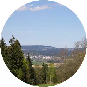 Neureichenau