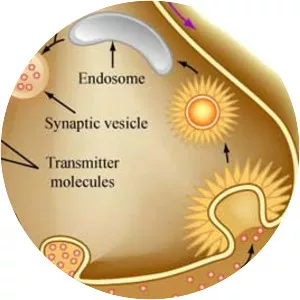 Neuropharmacology - Field of study