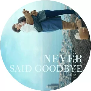 Never Said Goodbye