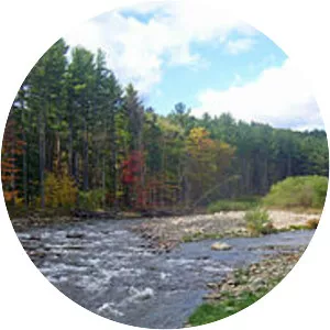 Neversink River