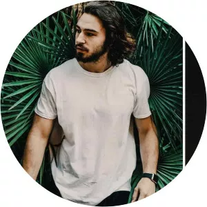 neverwaves - Musical artist