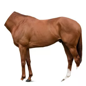 New Approach photograph