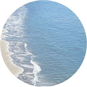 New Brighton State Beach