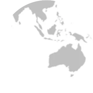 New Caledonia catshark - 