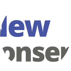 New Conservatives Party