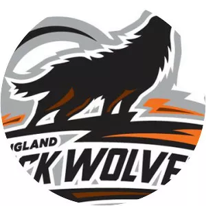 New England Black Wolves