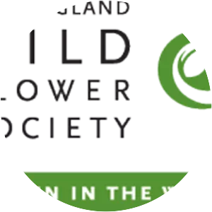 New England Wild Flower Society