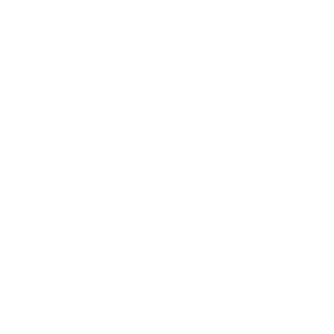 New European Ensemble