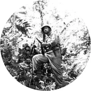 New Georgia campaign