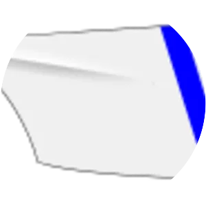 New Haven Rowing Club