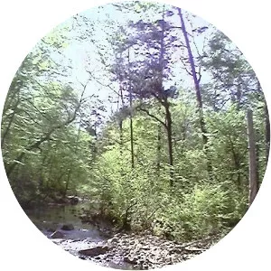 New Hope Creek - River in North Carolina