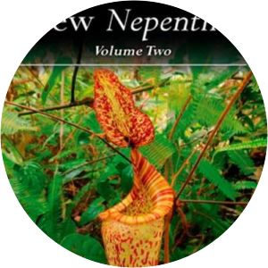 New Nepenthes