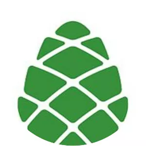 New Political Center — Girchi