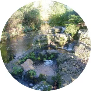 New River Path - 