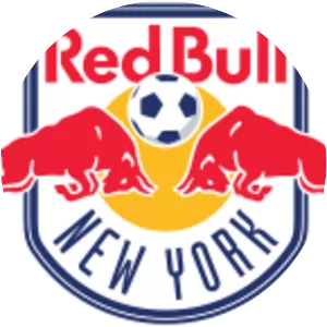 New York Red Bulls photograph