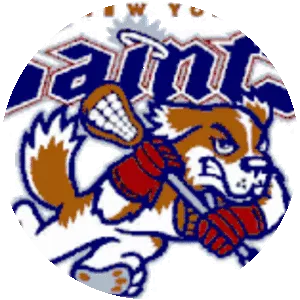 New York Saints - Lacrosse team