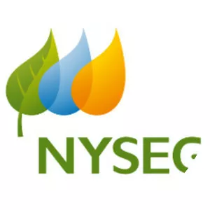 New York State Electric & Gas