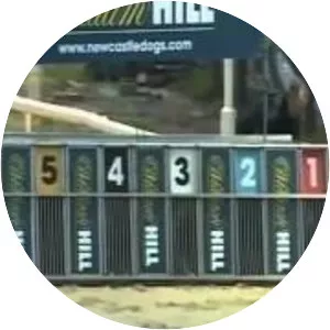 Newcastle Greyhound Stadium - 